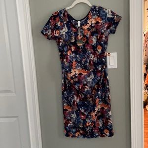 PINKBLUSH Maternity Dress